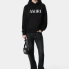 AMIRI Sweatshirts> CORE LOGO HOODIE BLACK