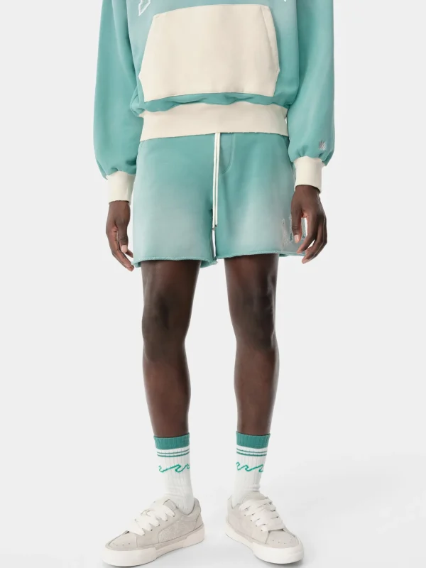 AMIRI Shorts & Sweatpants> VINTAGE COLLEGIATE SHORT Sea Blue